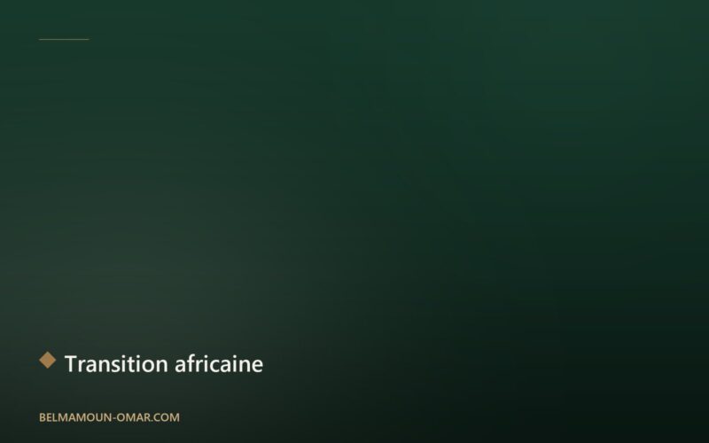 La transition énergétique en Afrique : les défis et opportunités de la décennie