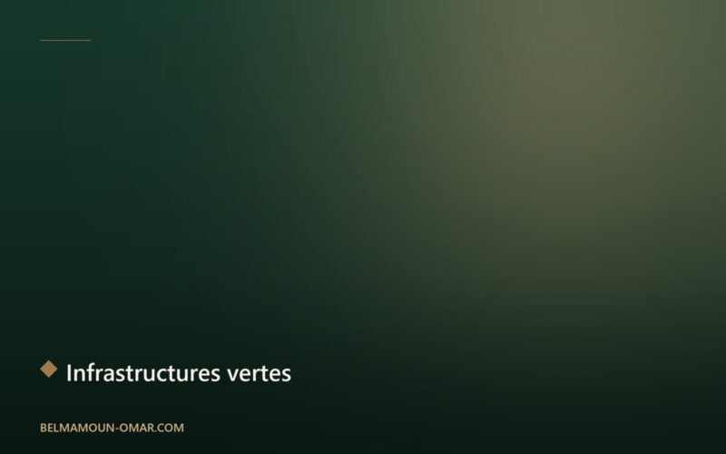 Investir dans les infrastructures vertes : un impératif pour la croissance africaine