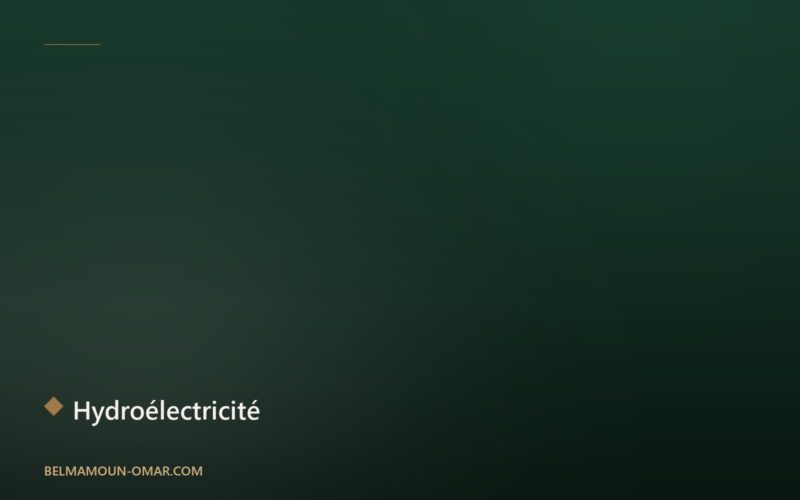 L’énergie hydroélectrique : pilier du développement durable au Maroc