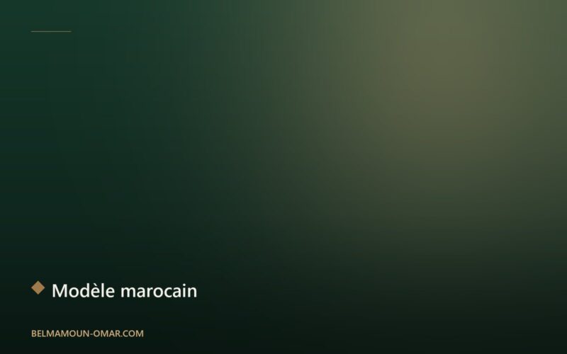 Le modèle marocain des énergies renouvelables : un exemple pour le continent