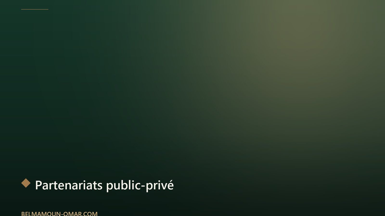 Partenariats public-privé : clé de voûte des grands projets énergétiques