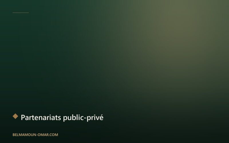 Partenariats public-privé : clé de voûte des grands projets énergétiques