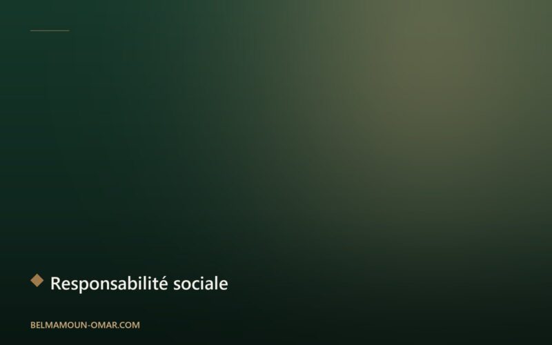 Développement durable et responsabilité sociale des entreprises en Afrique